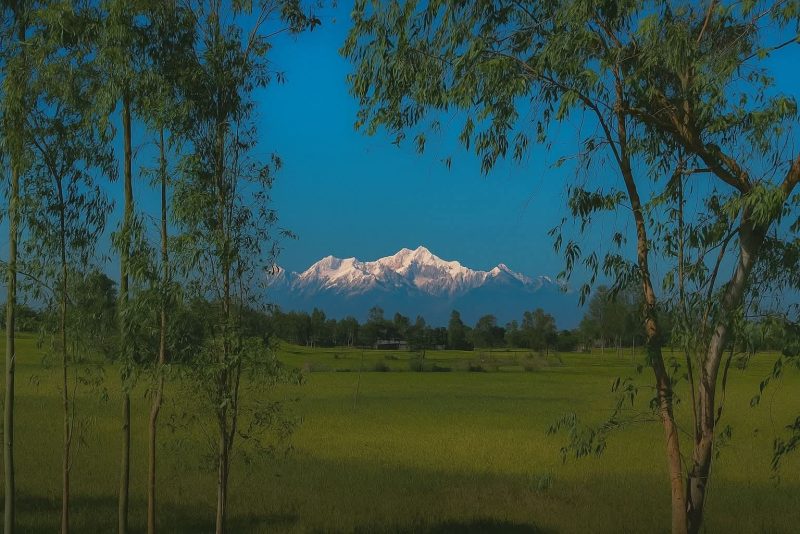 কানঞ্চন জঙঘা