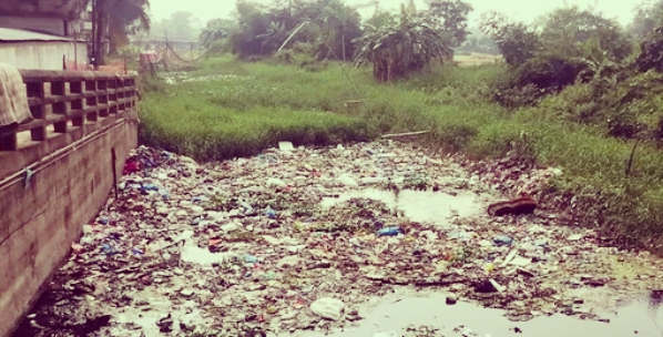 IMG-20260316-WA0001_1