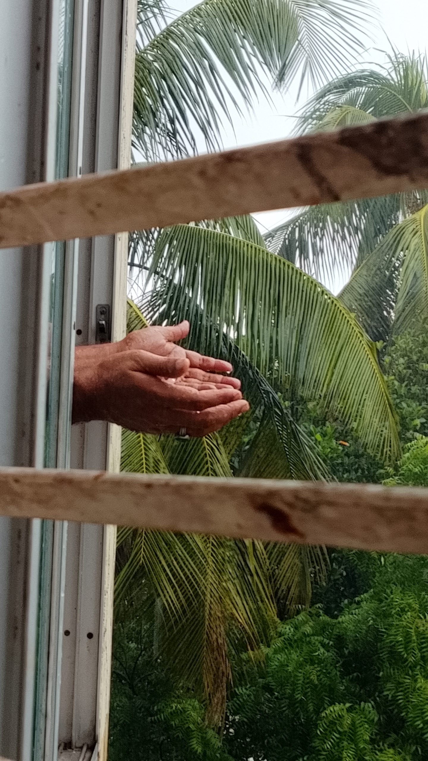 তোমাকে পাওয়ার চেয়ে, তোমাকে ভালোবাসতে পারাটাই আমার কাছে বেশি সুন্দর। 💖