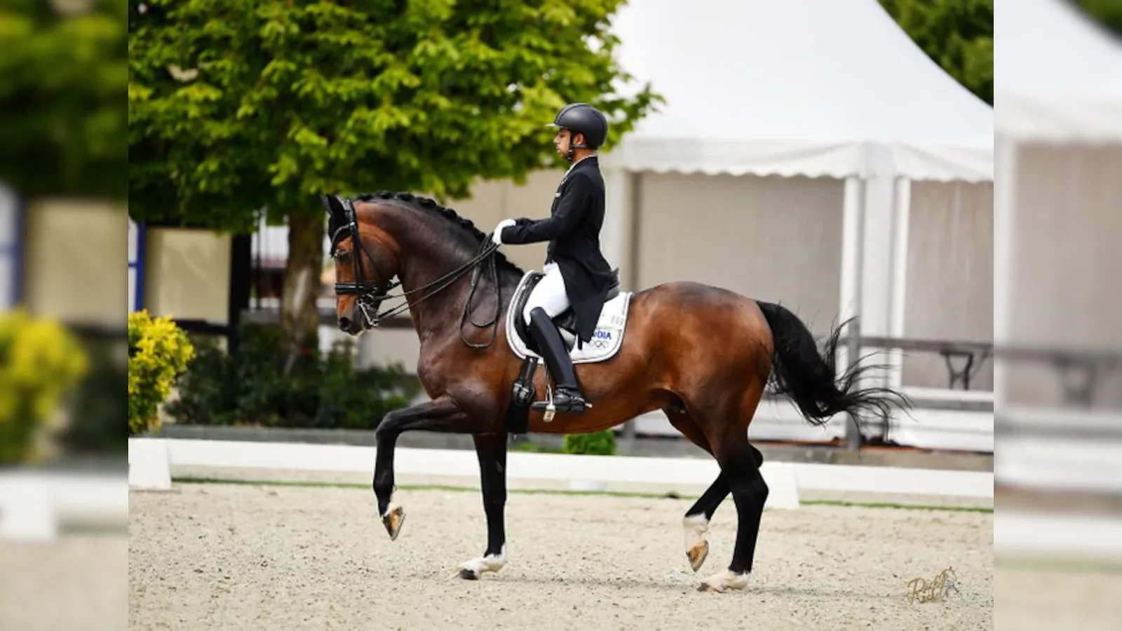 FEI Suspends Equestrian Federation of India Over Governance Crisis
