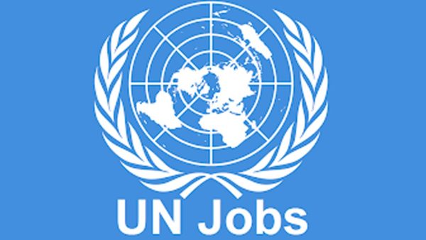 Pakistan's BEOE Highlights Employment Opportunities for Professionals in UN Agencies