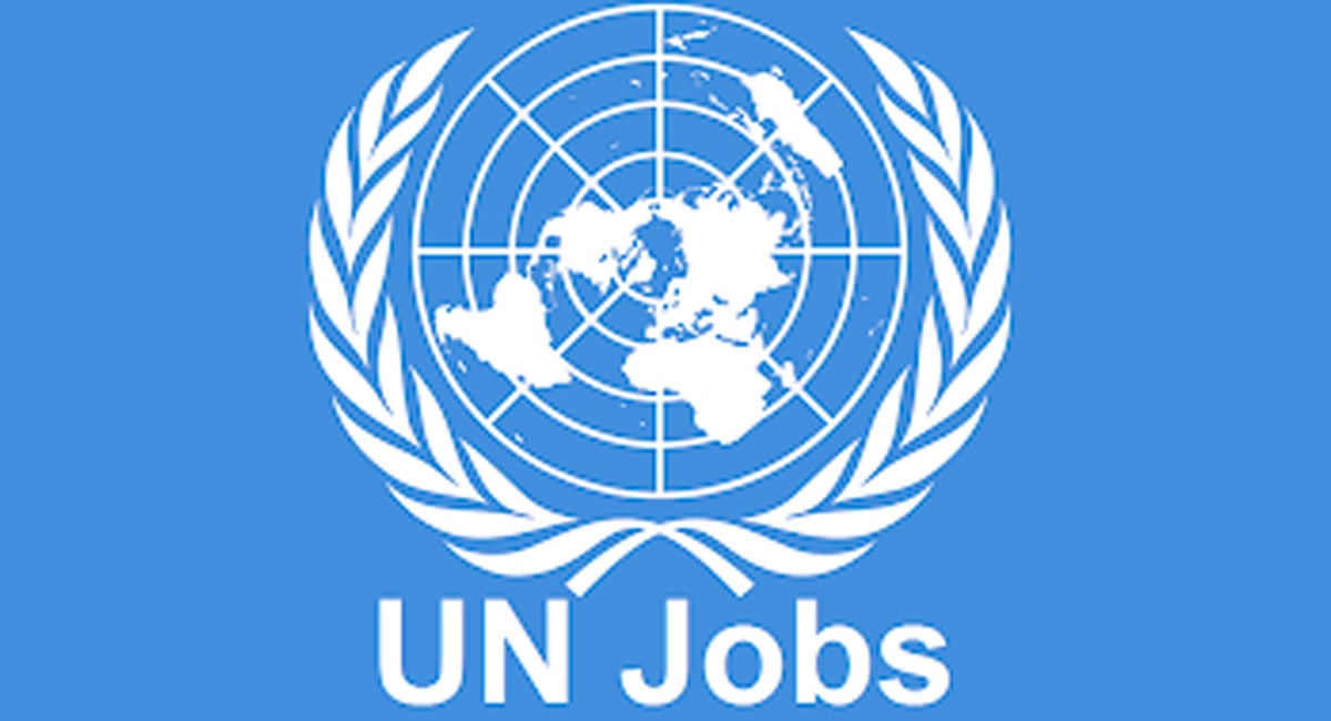 Pakistan's BEOE Highlights Employment Opportunities for Professionals in UN Agencies